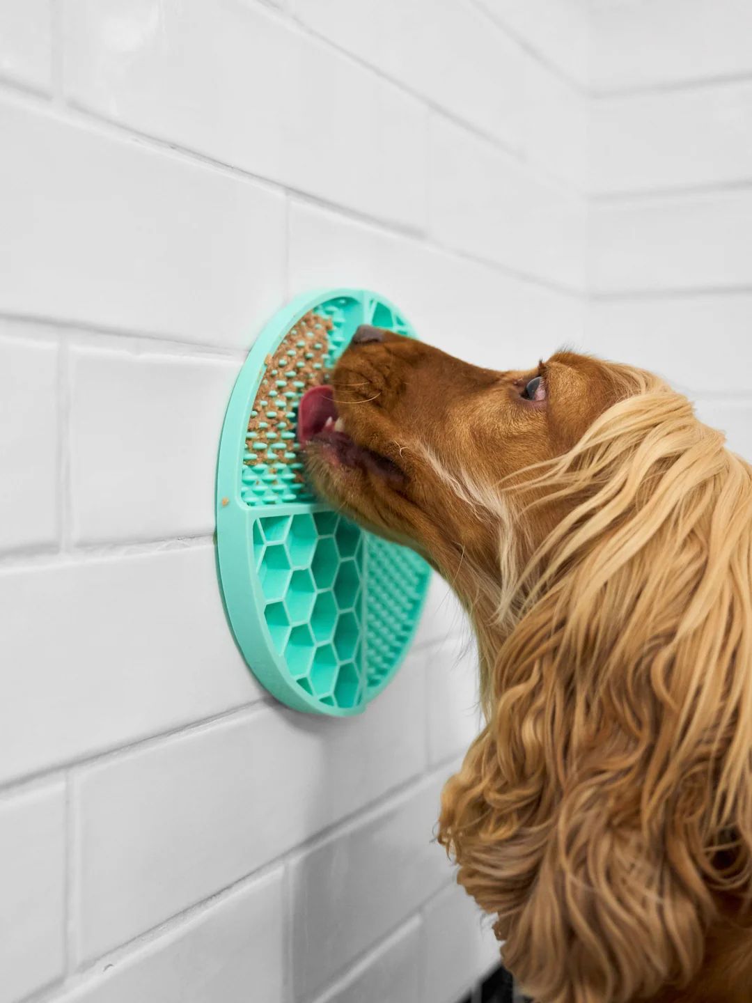 Tapete Anti-Estrés Para Perros y Gatos